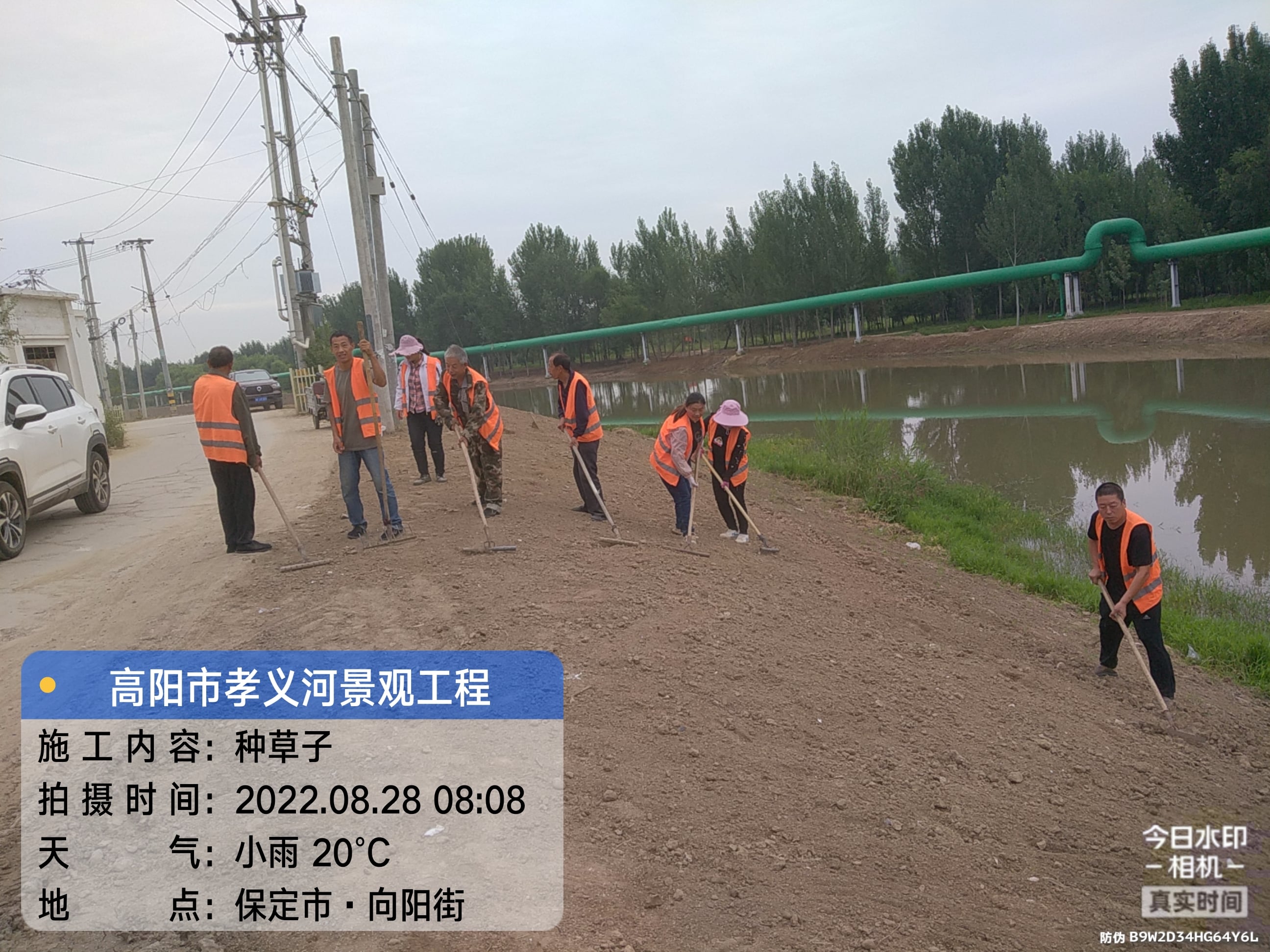 草籽撒播