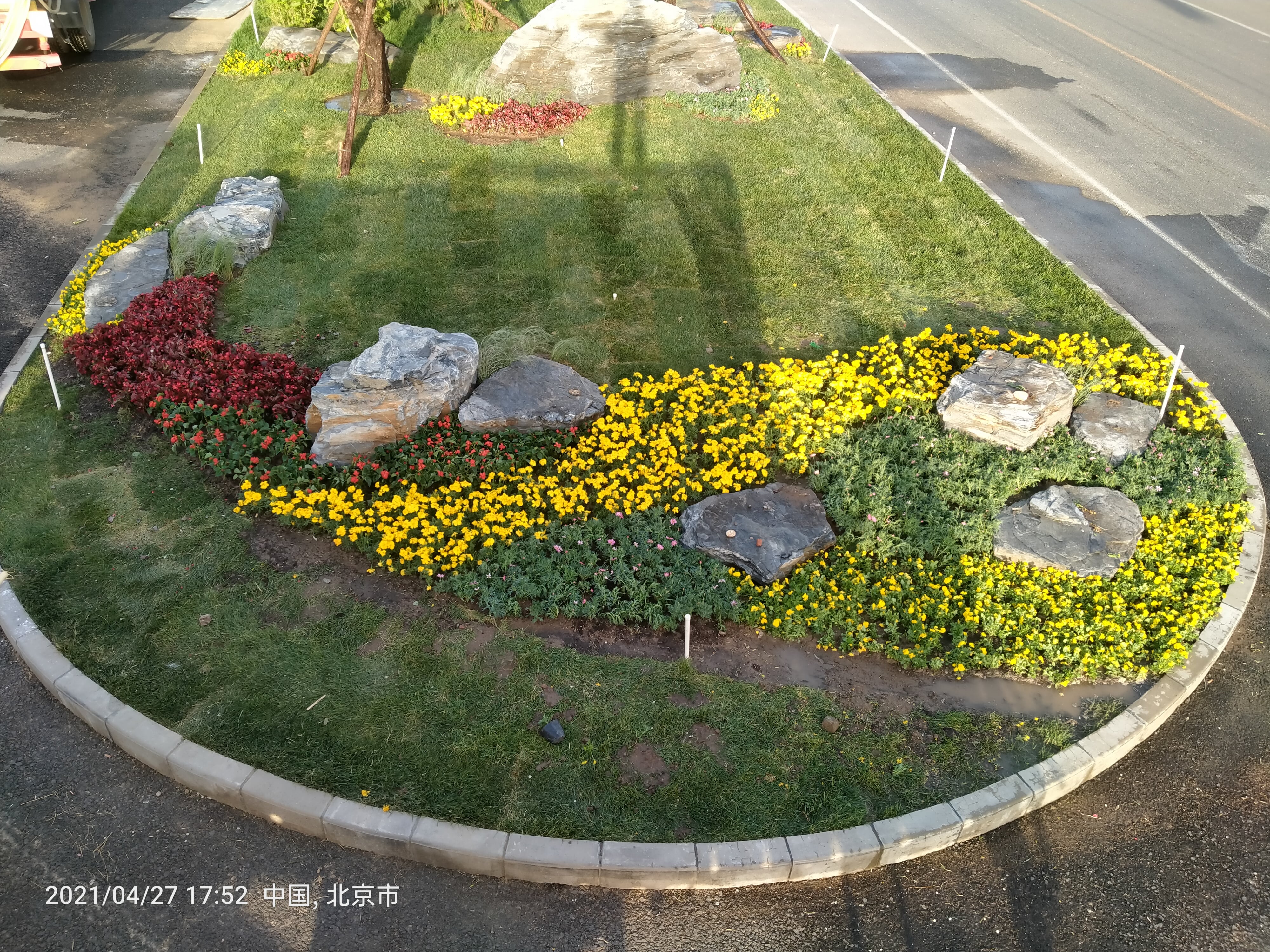 北京市大兴区礼贤镇大礼路道路绿化四标段